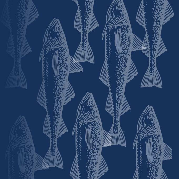 Omega 3 Fish Oil