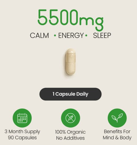 Vitabright Ashwagandha Tablets Organic KSM-66
