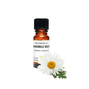 Chamomile Maroc Essential Oil 10ml - Health Emporium