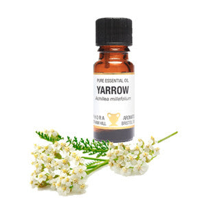 Yarrow Essential Oil 10ml - Health Emporium