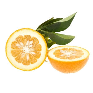 PetitGrain Essential Oil 10ml - Health Emporium