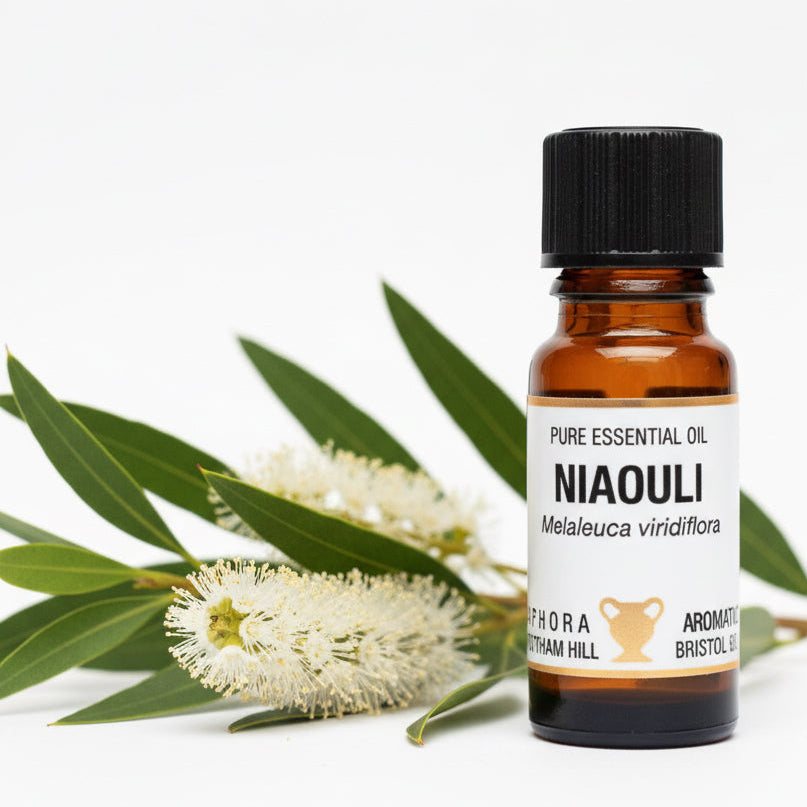 Niaouli Essential Oil 10ml - Health Emporium