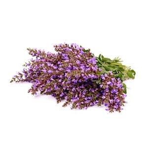 Clary Sage Essential Oil 10ml - Health Emporium