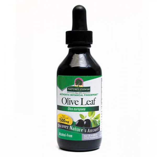 OleoPein Olive Leaf - Health Emporium