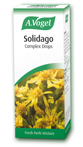 Solidago Complex 50ml - Health Emporium