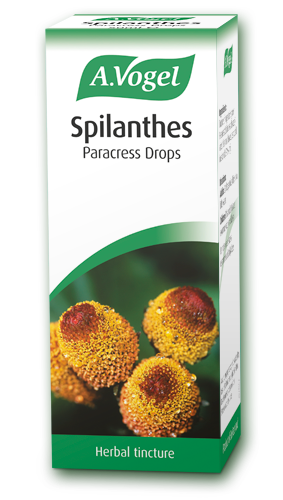 Spilanthes 50ml - Health Emporium