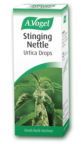 Stinging Nettle (Urtica) 50ml - Health Emporium
