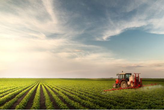The Impact of Glyphosate