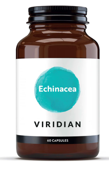 Viridian Echinacea
