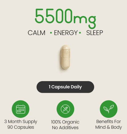 Vitabright Ashwagandha Tablets Organic KSM-66
