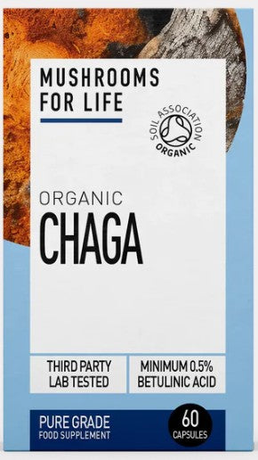 Hongo chaga orgánico – 60 cápsulas