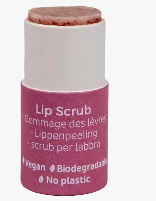 Beauty Made Easy Vegan Paper Tube Lip Scrub - Cranberry