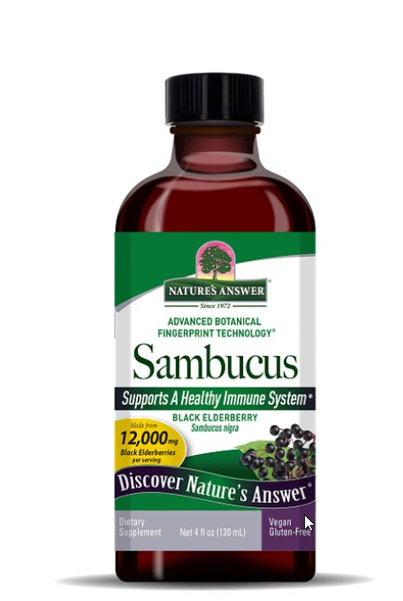 Sambucus Black Elder Berry