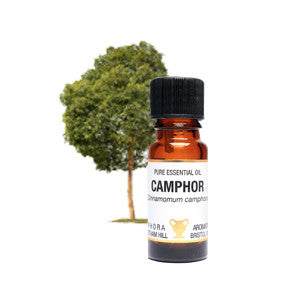 Camphor Essential Oil 10ml - Health Emporium