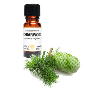 Cedarwood Essential Oil 10ml - Health Emporium