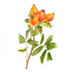 RoseHip Oil 100ml - Health Emporium