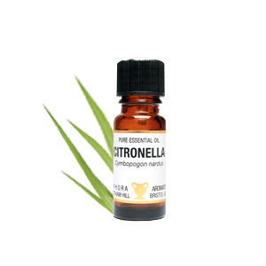 Citronella Essential Oil 10ml - Health Emporium