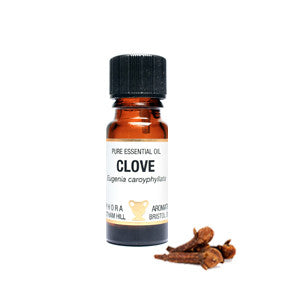 Clove Essential Oil 10ml - Health Emporium