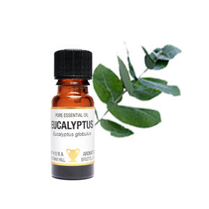 Eucalyptus Essential Oil 10ml - Health Emporium