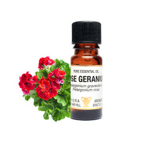 Rose Geranium Essential Oil 10ml - Health Emporium