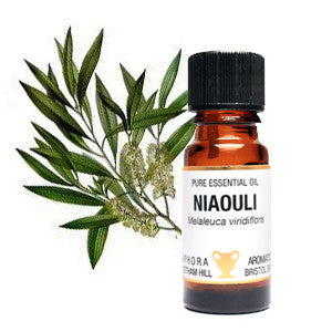 Niaouli Essential Oil 10ml - Health Emporium