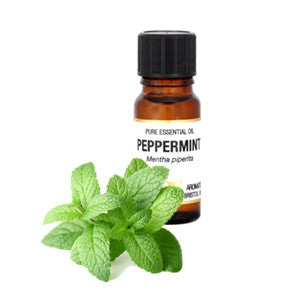 Peppermint Essential Oil 10ml - Health Emporium