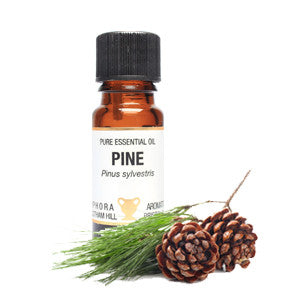 Pine Essential Oil 10ml - Health Emporium