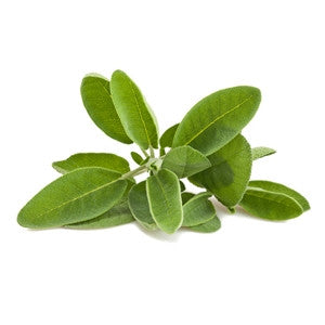 Sage Essential Oil 10ml - Health Emporium
