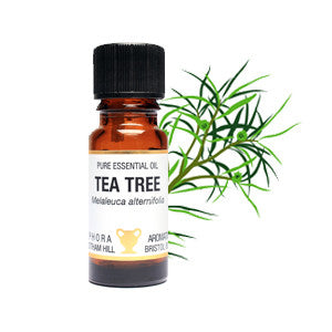 Tea Tree Essential Oil 10ml - Health Emporium