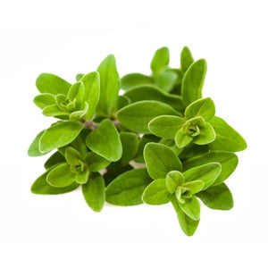 Marjoram Essential Oil 10ml - Health Emporium