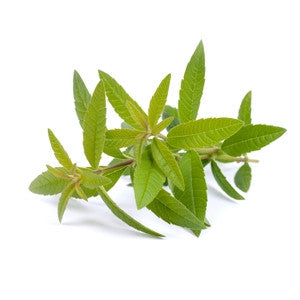 Αιθέριο έλαιο Lemon verbena 10ml - Εμπορικό Κέντρο υγείας