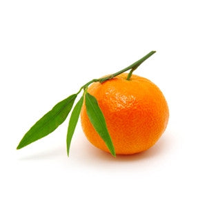 Mandarin Essential Oil 10ml - Health Emporium