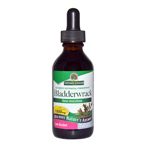 Bladderwrack Herb - Health Emporium