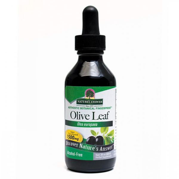 OleoPein Olive Leaf - Health Emporium
