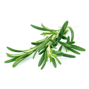 Rosemary Essential Oil 10ml - Health Emporium