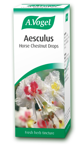 Aesculus 50ml - Health Emporium
