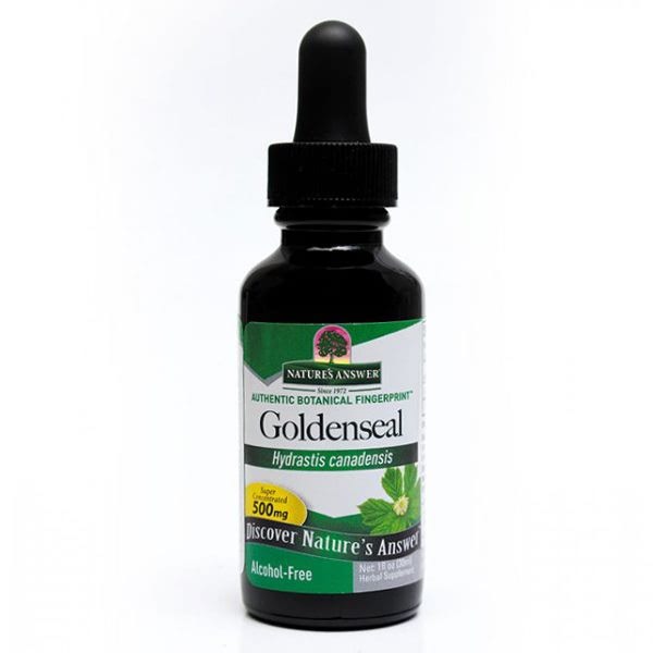 Golden Seal Root - Health Emporium