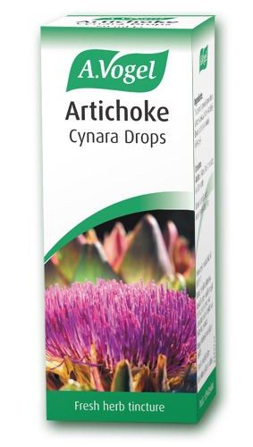 Alcachofra (cynara) 50ml - empório de saúde