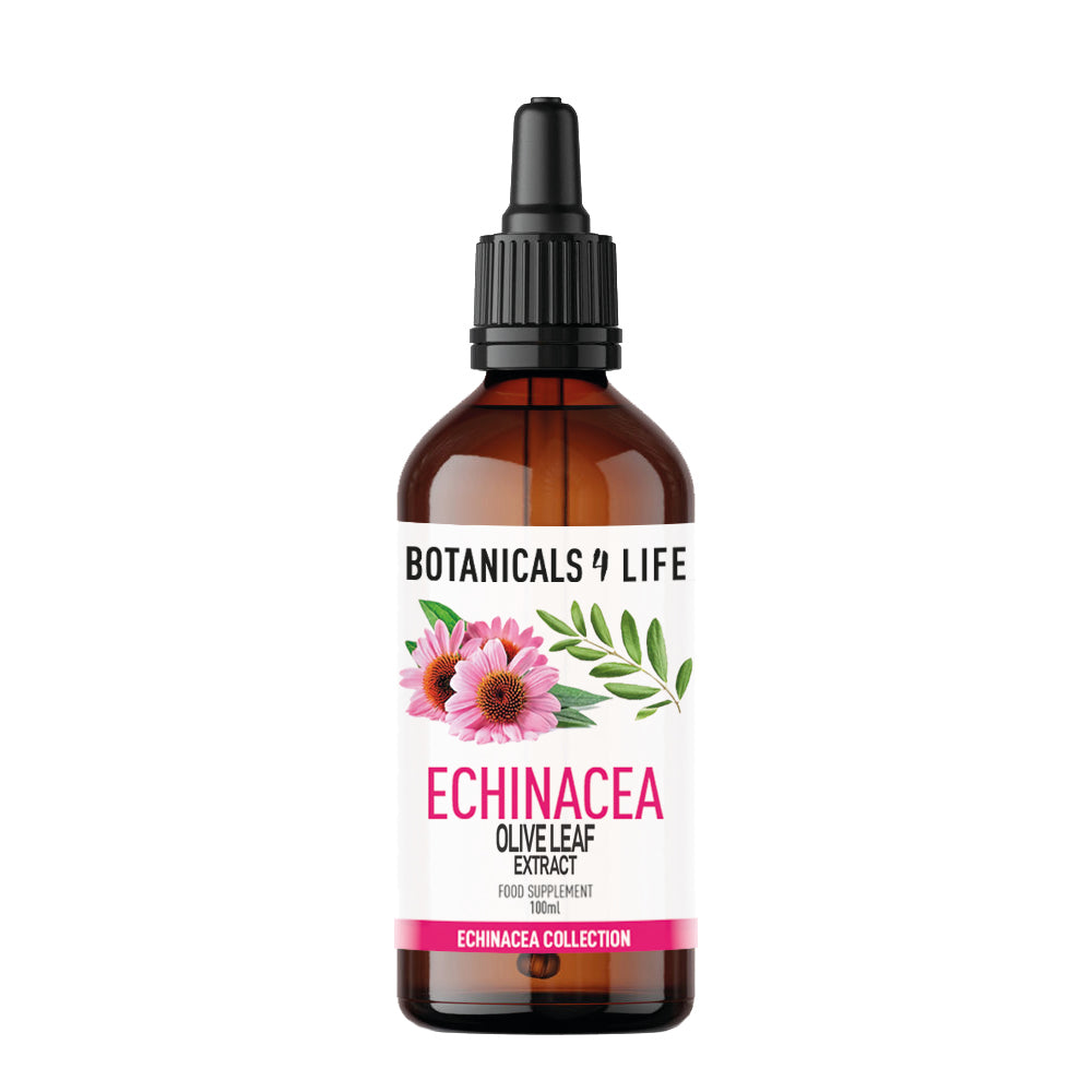 Extrato de folha de oliveira Echinacea 100ml