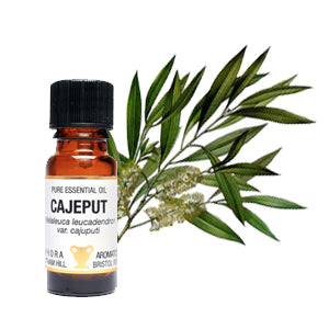 Cajeput Essential Oil 10ml