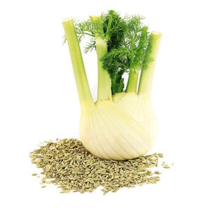 Fennel Essential Oil 10ml - Health Emporium