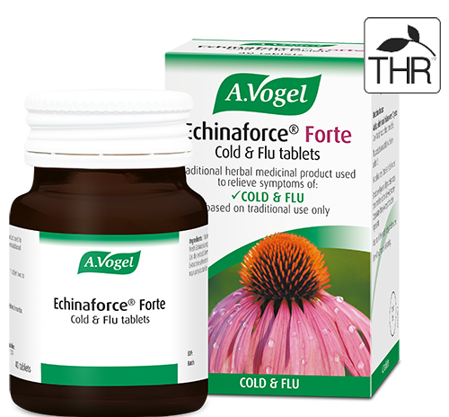 Echinacea Forte comprimidos para resfriado e gripe 40&