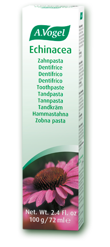 Echinacea Toothpaste 100g - Health Emporium