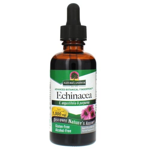 Echinacea Root