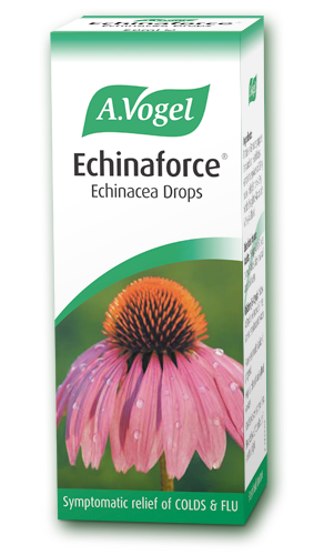 Echinaforce equinácea gotas 50ml - empório de saúde