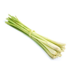 LemonGrass Essential Oil 10ml - Health Emporium