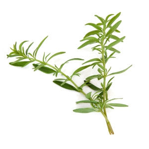 Hyssop Essential Oil 10ml - Health Emporium