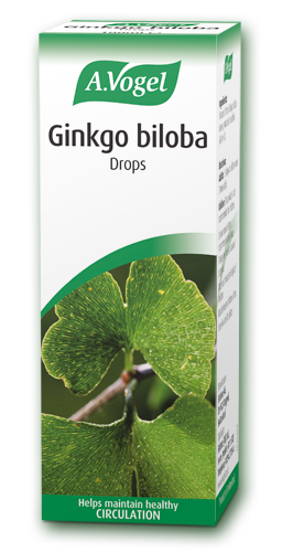 Ginkgo biloba 100ml - เฮลท์เอ็มโพเรียม