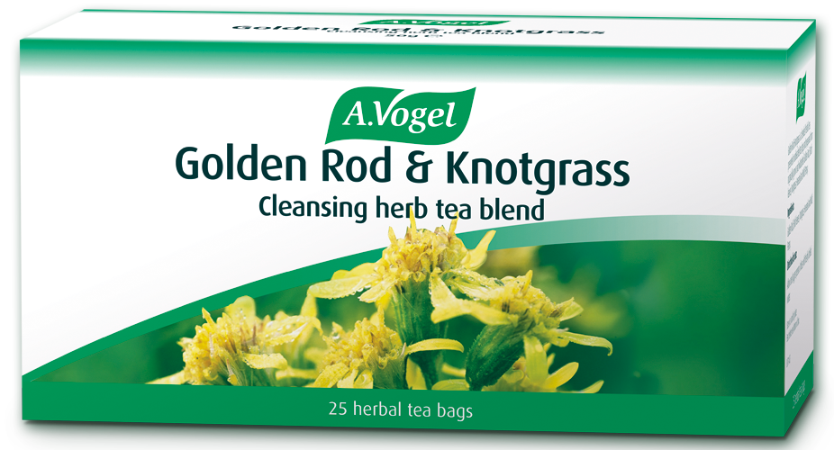 Bustine di tè Verga d'Oro e Knotgrass 25 x 2 g - Emporio della salute