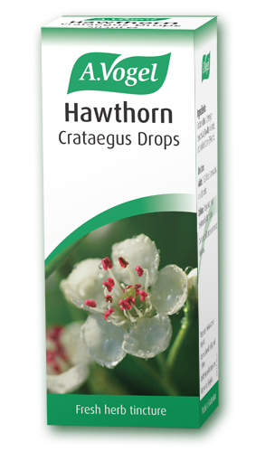 Hawthorn (Crataegus) - Health Emporium